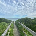 Butterffly Wings Pathway